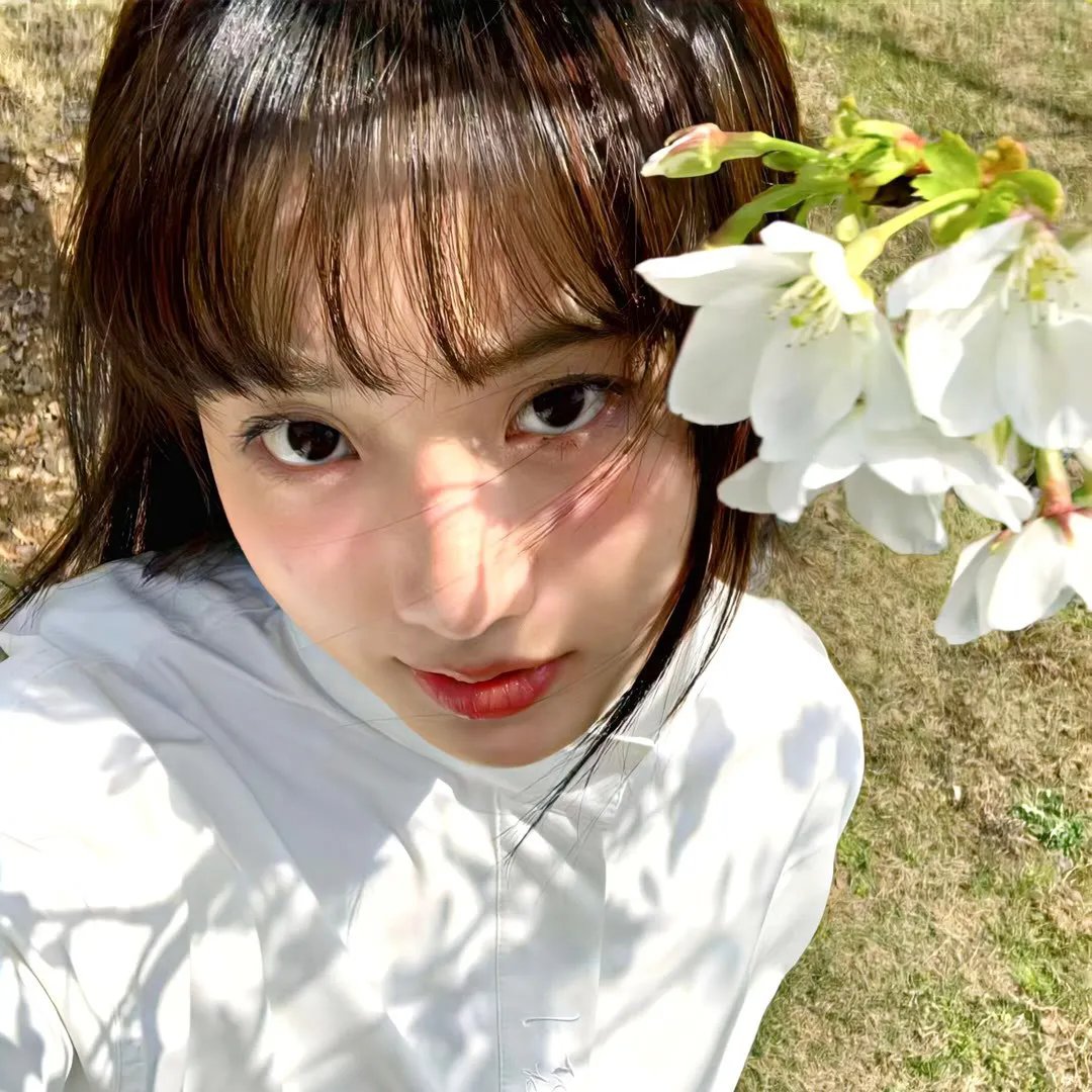 特搜9第七季